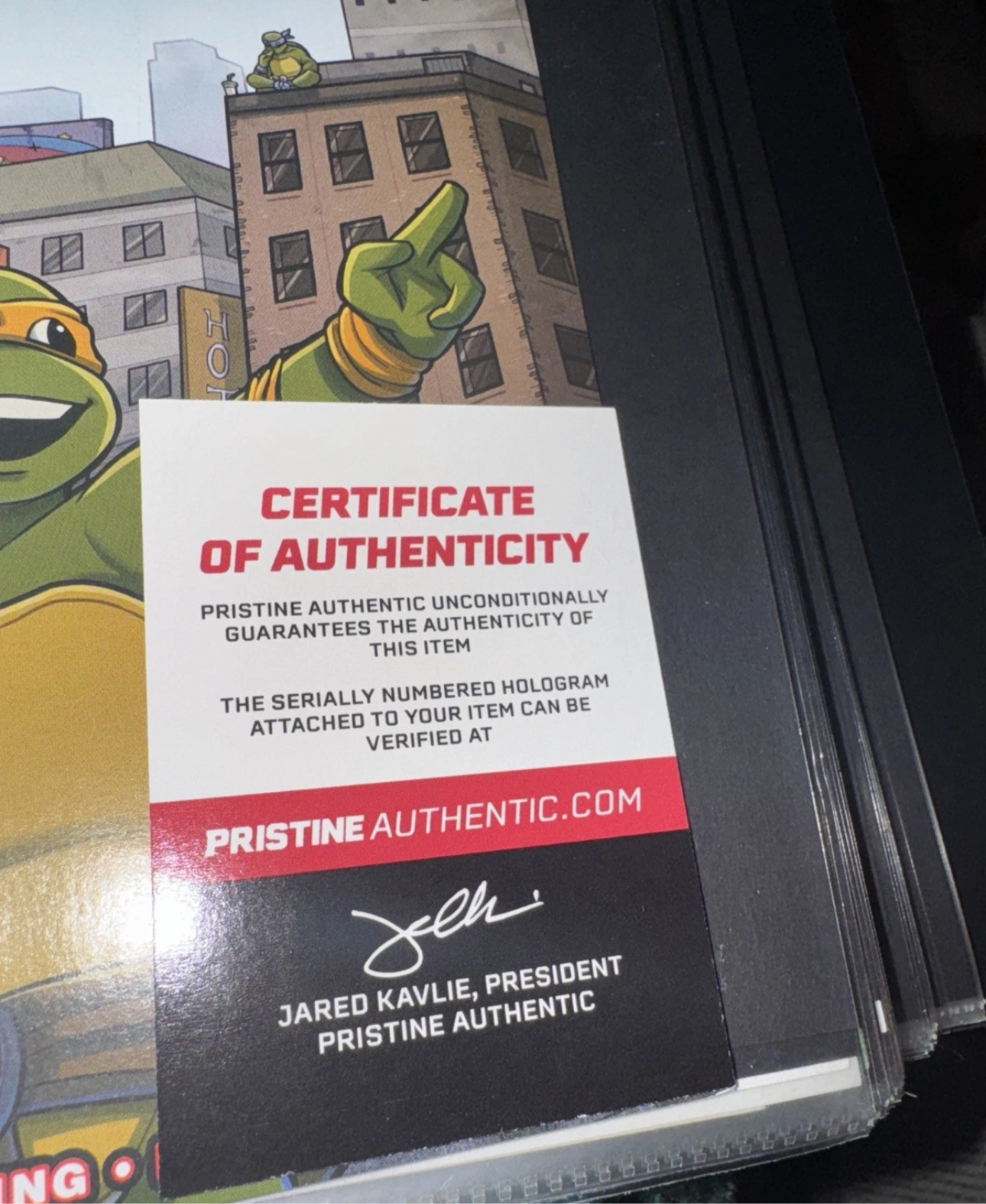 Kevin Eastman signed "TMNT" Saturday Morning ADVENTURES #5 Cover C - COA